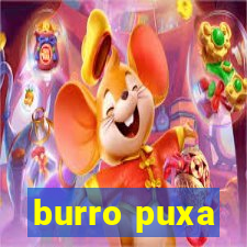 burro puxa